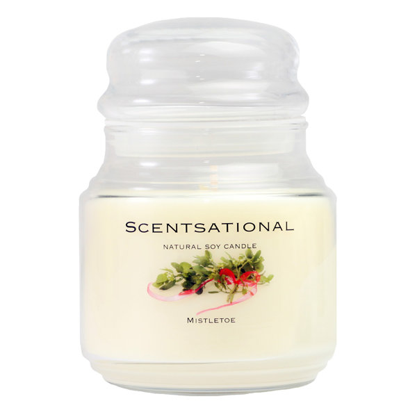 SCENTSATIONAL NATURAL SOY CANDLE Wayfair